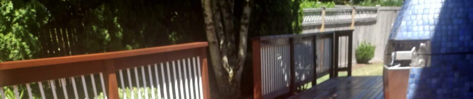 Deck Restoration and Treatment